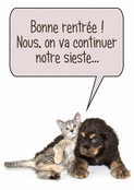 Bonne rentr&eacute;e avec nos amis &agrave; quatre pattes